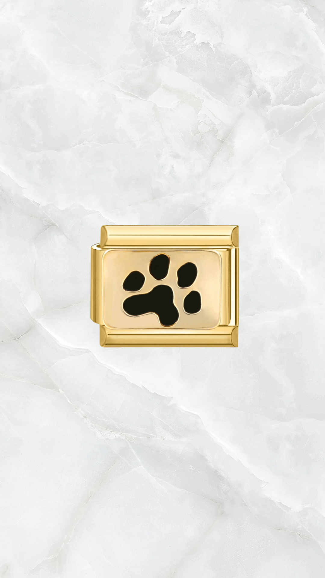 Paw Charm Bracelet