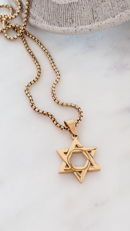 La estrella de David Gold Necklace