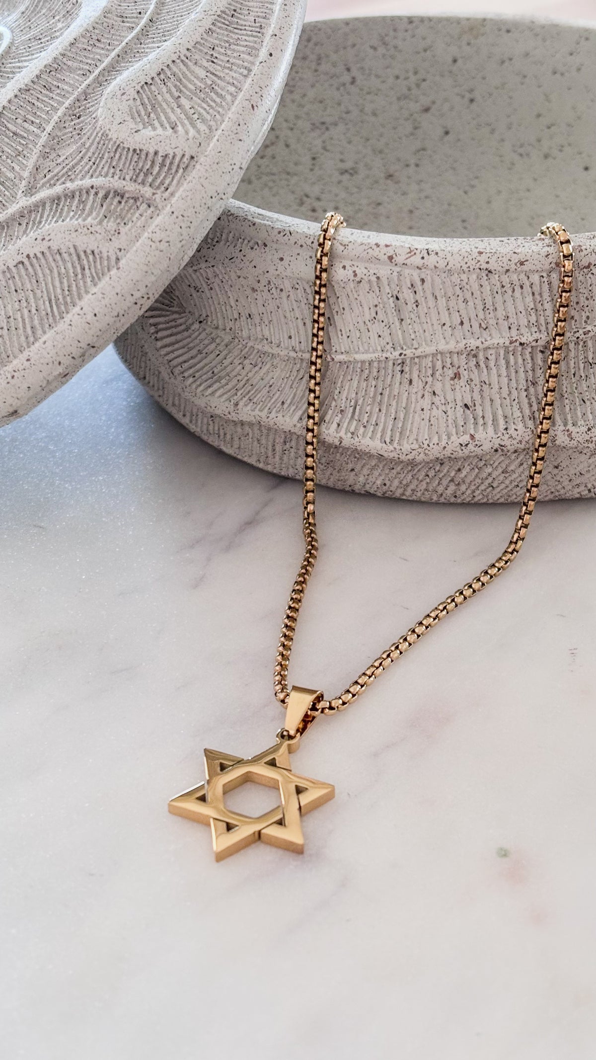 La estrella de David Gold Necklace