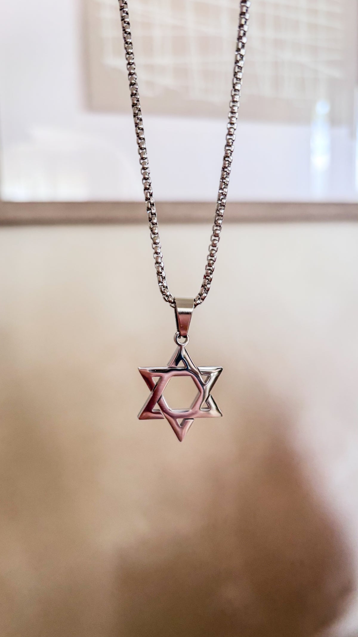 La estrella de David Silver Necklace