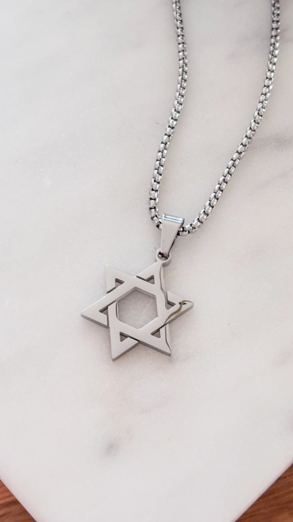 La estrella de David Silver Necklace