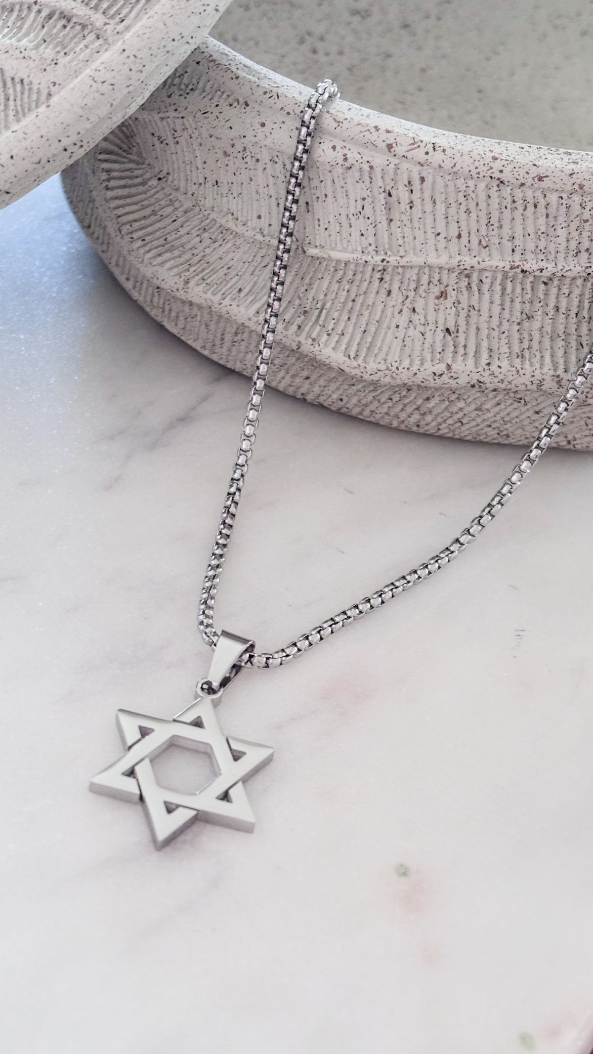 La estrella de David Silver Necklace