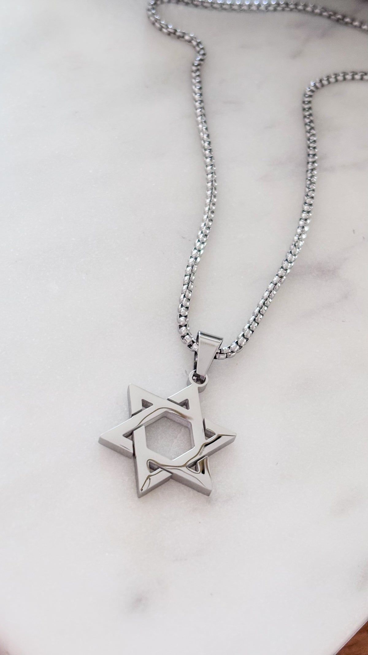 La estrella de David Silver Necklace