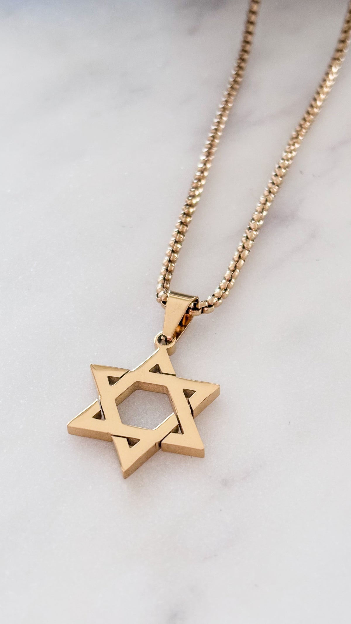La estrella de David Gold Necklace