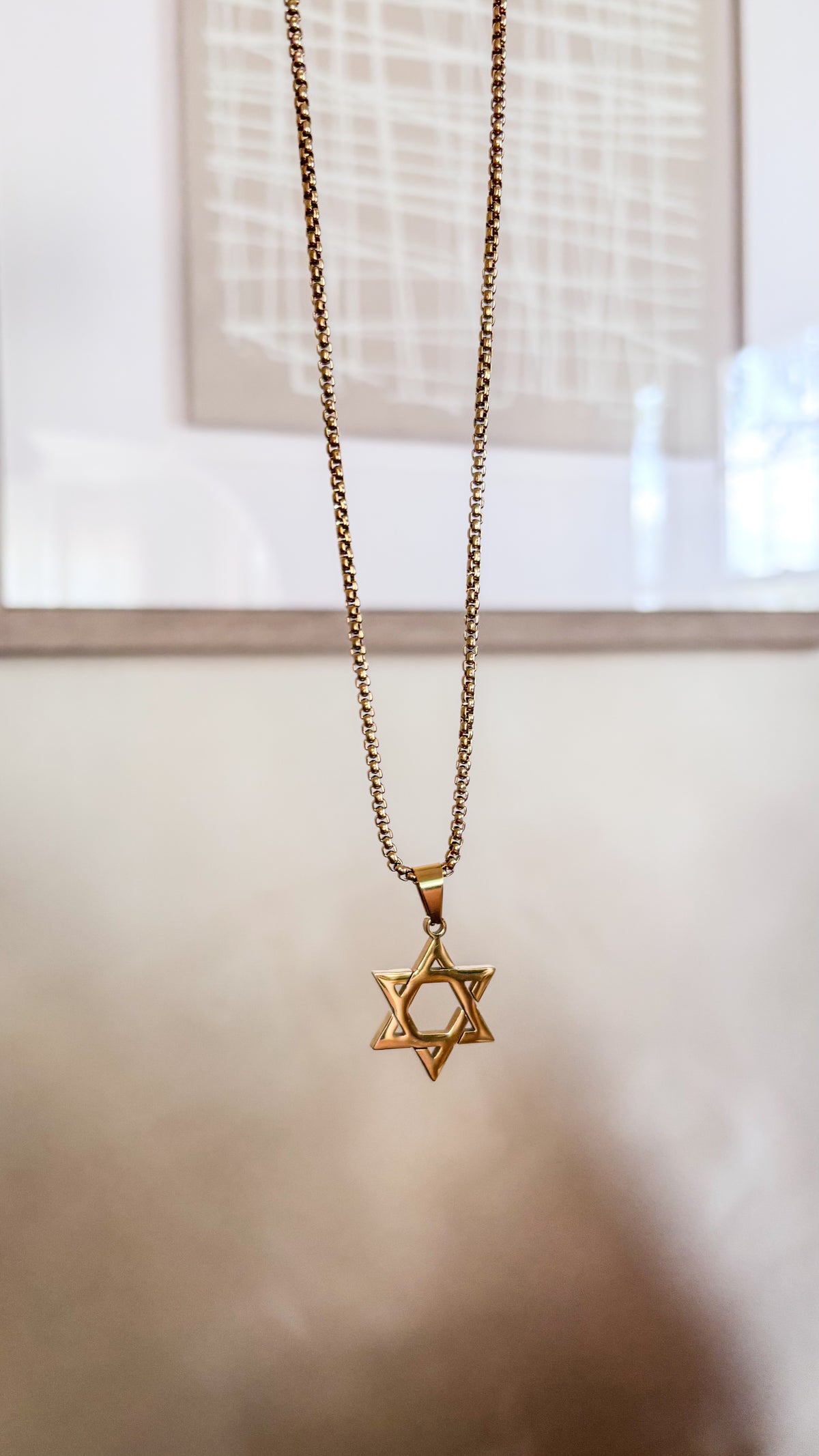 La estrella de David Gold Necklace