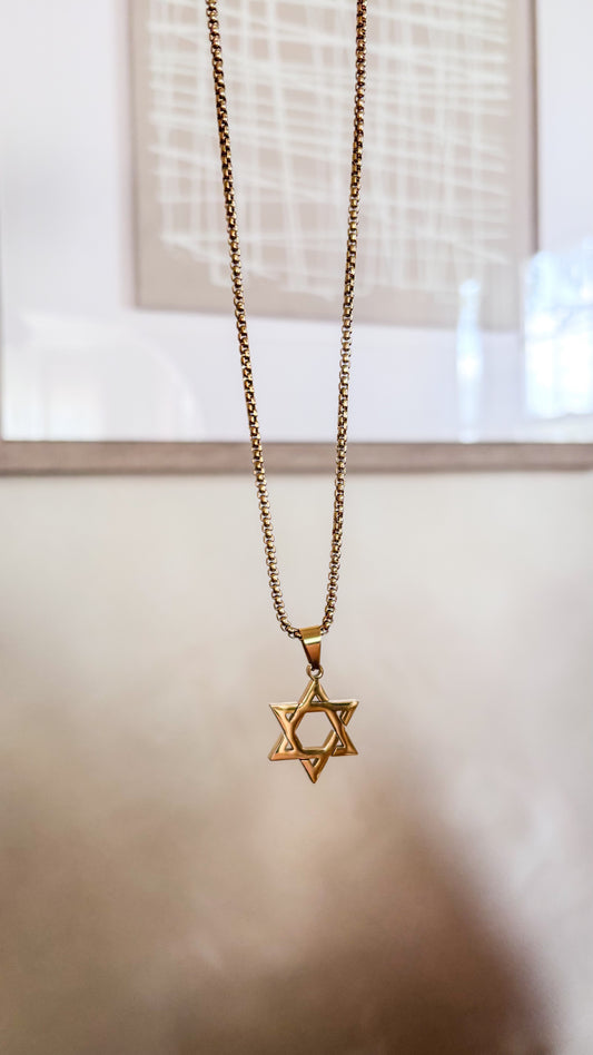 La estrella de David Gold Necklace