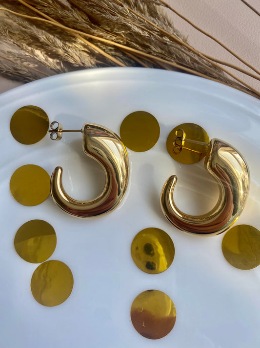 Rennata Hoops Earrings