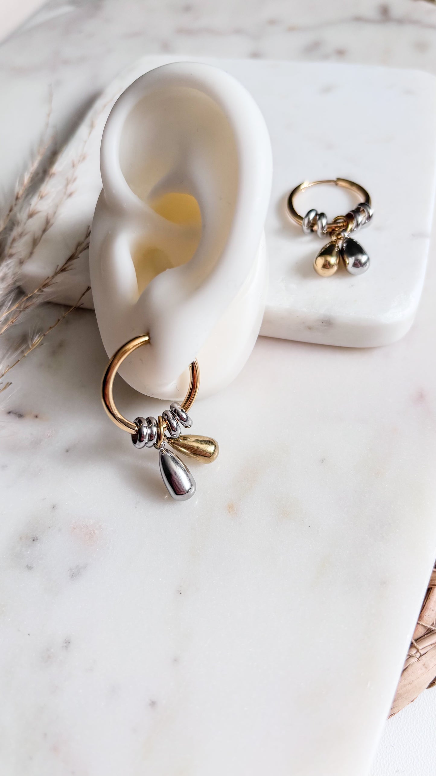 Hoops Bicolor
