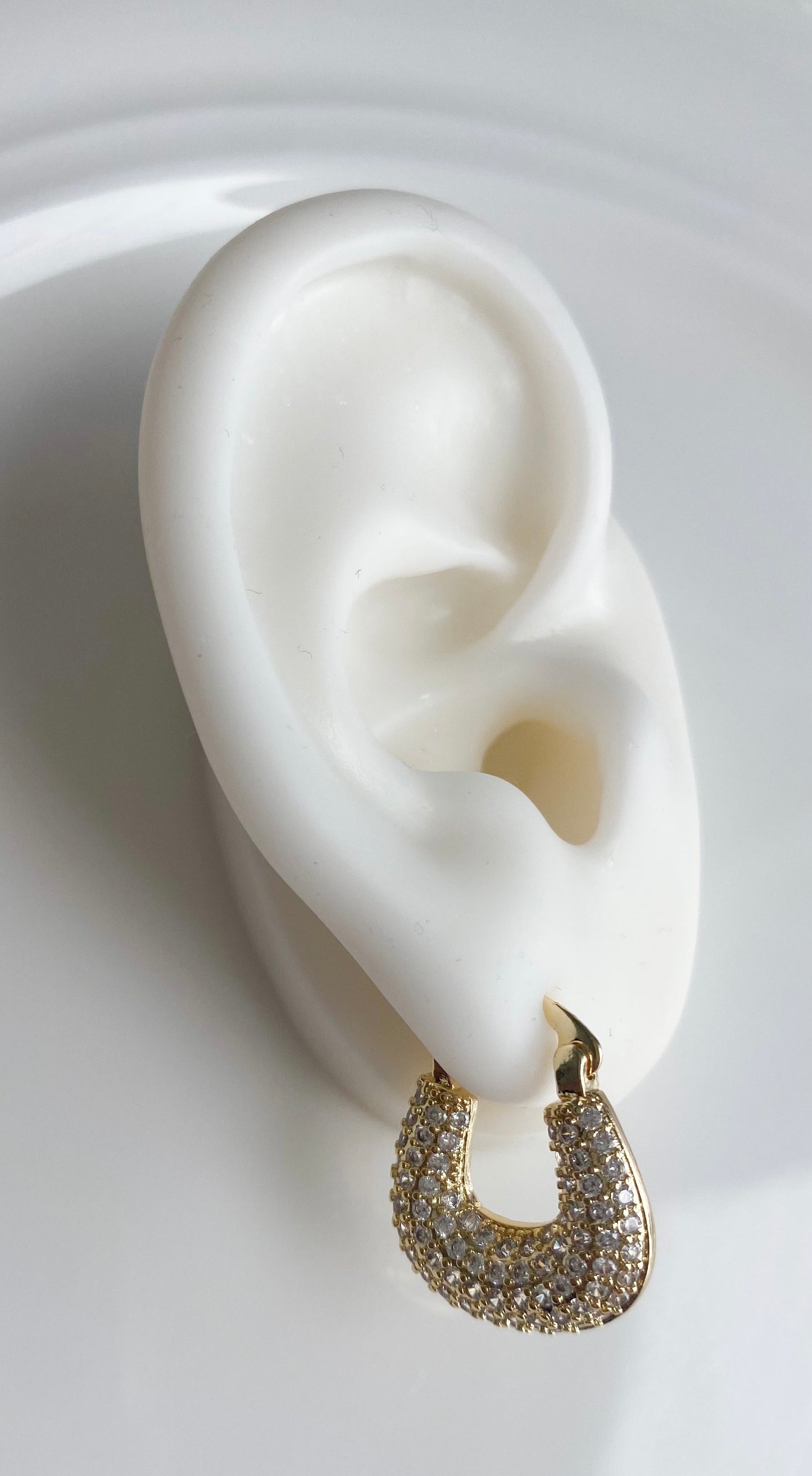 Full Zirconium Earrings